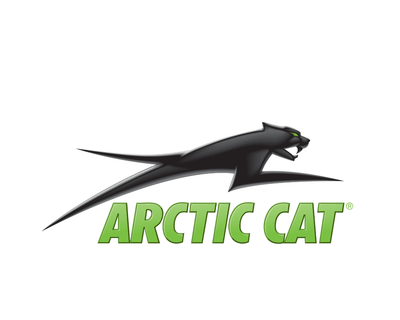 Premium Arctic Cat trv wildcat dvx ATV utv bearing repair kit including swingarm, suspension, differential, and linkage parts