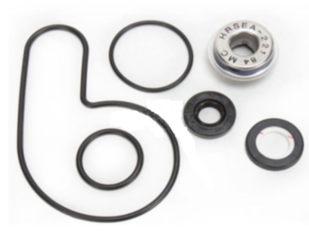 BEARING-WORX-2023-04-ARCTIC-WATER-PUMP-REPAIR-KIT-CAT-DVX-400-05-08-KAWASAKI-KFX-400-05-06-SUZUKI-LTZ-400-05-13-WPK0054