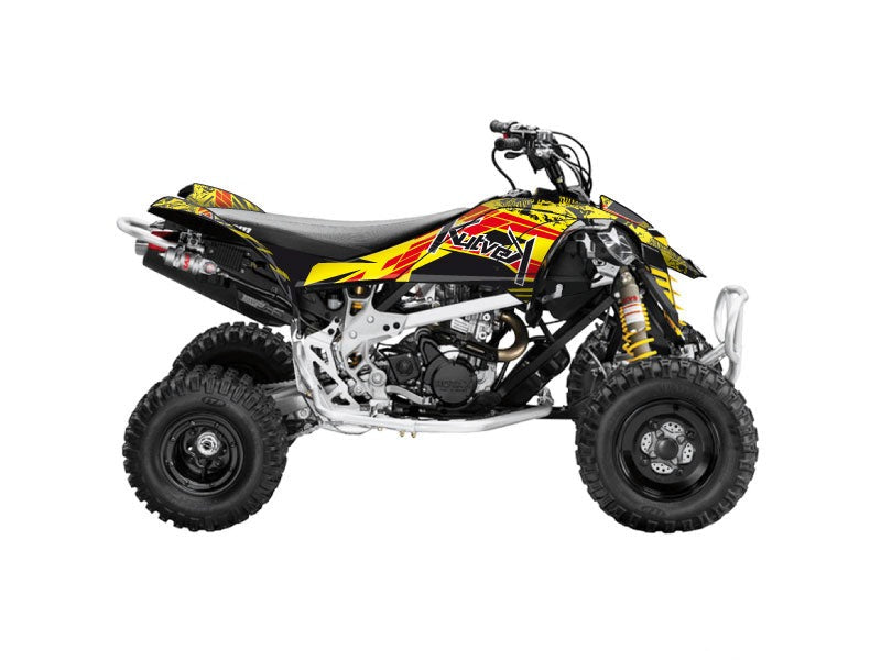 Laden Sie das Bild in Galerie -Viewer, CAN AM DS 450 ATV SPIRIT GRAPHIC KIT
