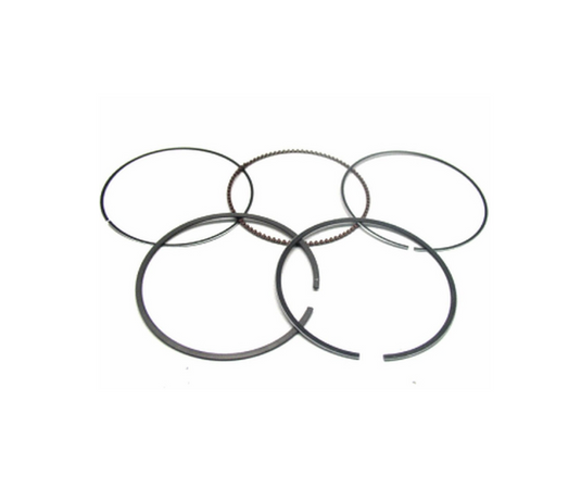 Can-Am PISTON RINGS
