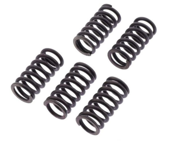 TRW-LUCAS-ZF-CLUTCH-SPRINGS-SUZUKI-LT-R-450-QUADRACER-06-12