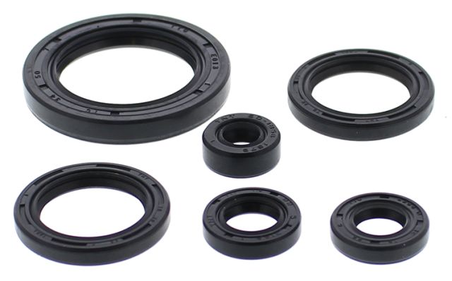 WINDEROSA-SET MOTORDICHTUNGSMITTEL HONDA TRX650 RINCON '03-'05, TRX680 RINCON '06-'21