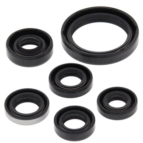 WINDEROSA  SET OF ENGINE SEALANTS KAWASAKI KFX450R 08-14