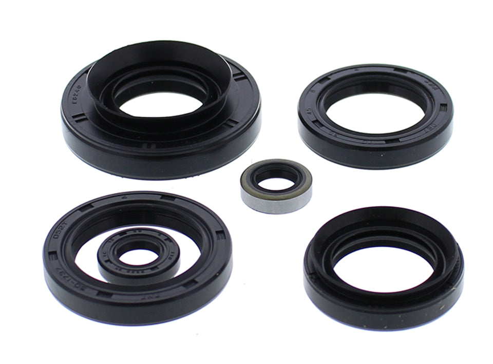 ENSEMBLE DE SCELLANTS MOTEUR WINDEROSA KAWASAKI KVF750 BRUTE FORCE '15-'19
