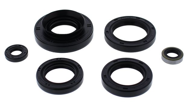 WINDEROSA SET OF ENGINE SEALANTS KAWASAKI KVF750 BRUTE FORCE 12-14, TERYX 750 4X4