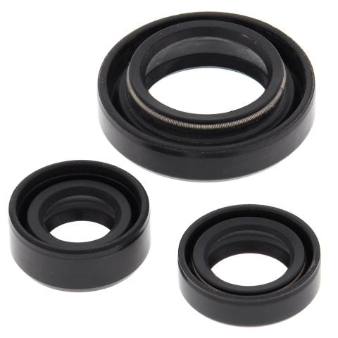 WINDEROSA SET OF ENGINE SEALANTS SUZUKI LT-F250 OZARK 02-14, LT-Z250 04-09