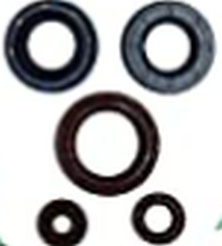 WINDEROSA SET OF ENGINE SEALANTS CAN-AM OUTLANDER DPS 450 15-20, OUTLANDER MAX DPS 450 EFI 15-20, DEFENDER 500 17-20, DEFENDER 500 DPS 17-20, DEFENDER 500 DPS CAMO 17, OUTLANDER MAX 450 6X6 19-20