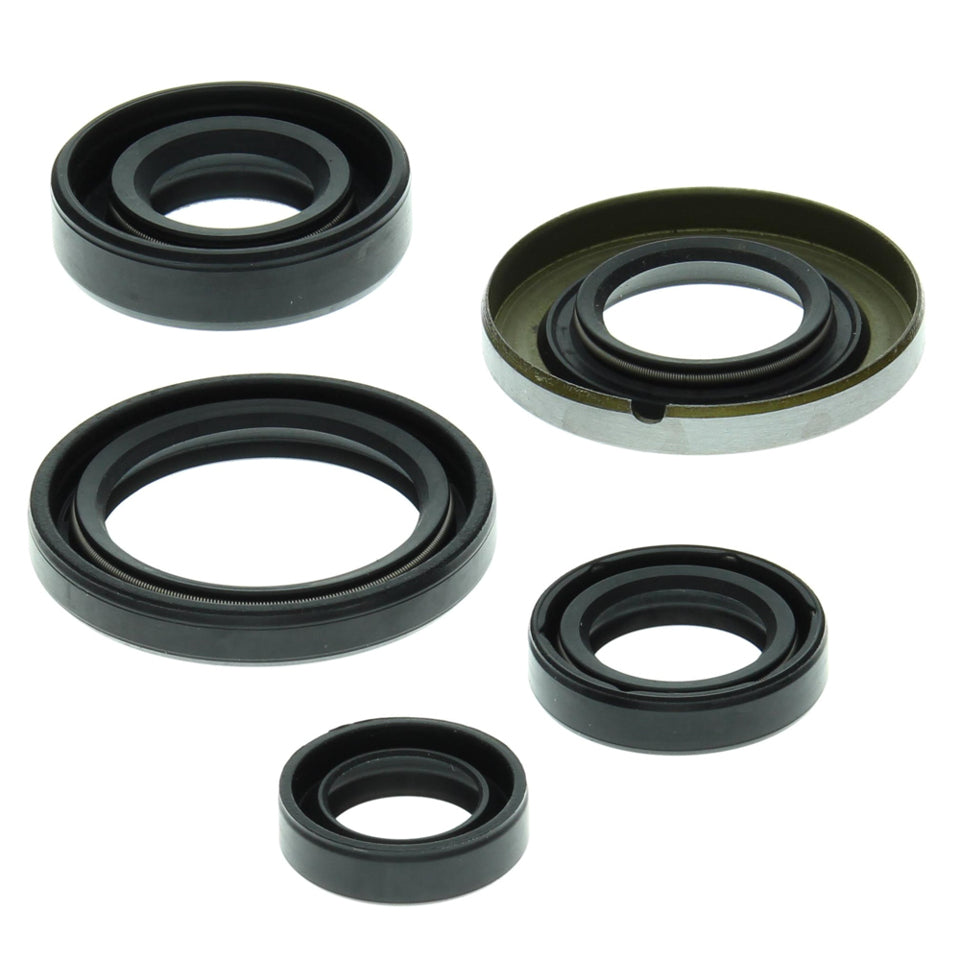 WINDEROSA-SET MOTORDICHTUNGSMITTEL HONDA TRX400 EX 99-04